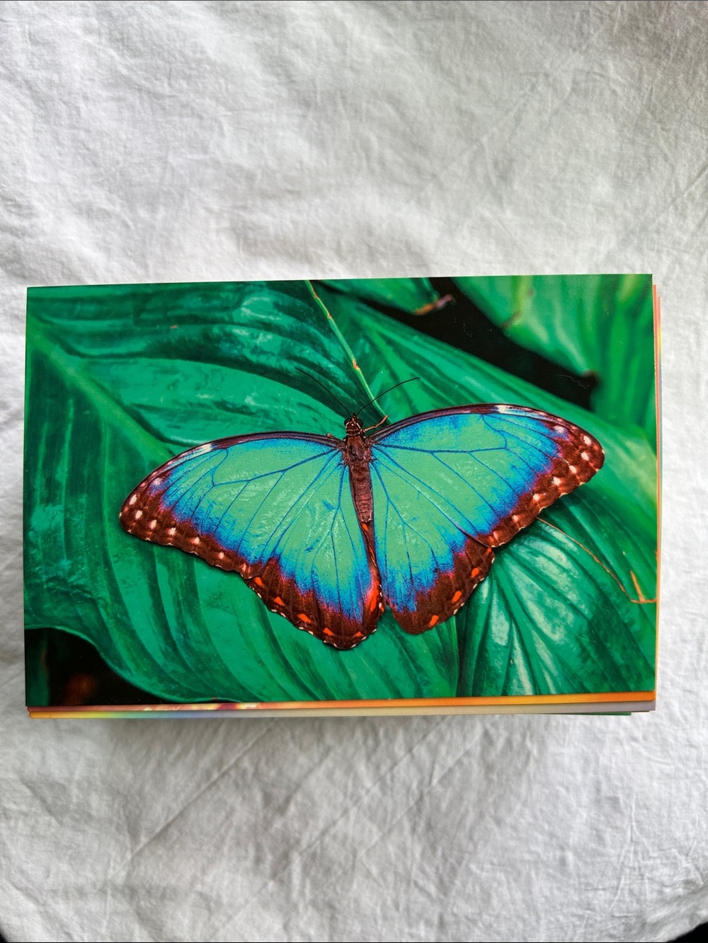 Collage cards.